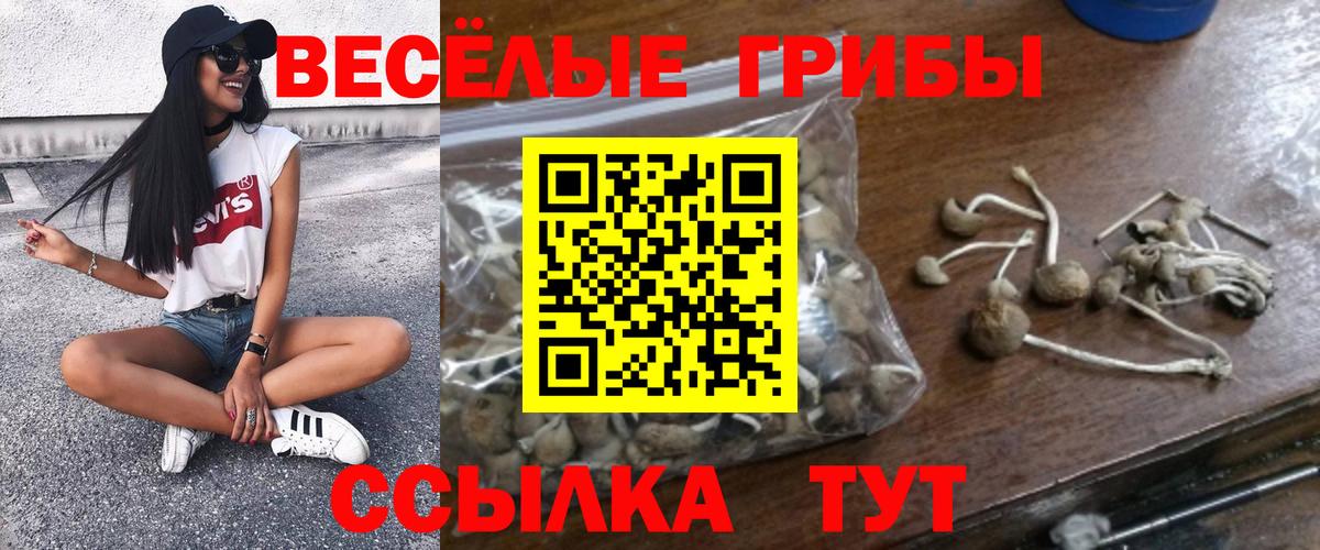Галлюциногенные грибы прущие грибы  Вход с VPN  Рубцовск 